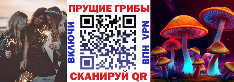 Галлюциногенные грибы Psilocybe  Саратов 