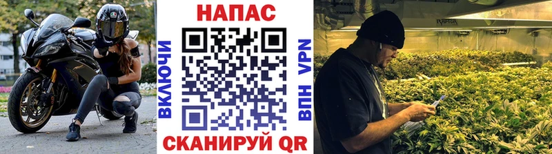наркота  Саратов  Канабис планчик 